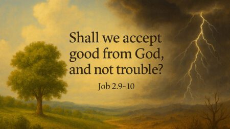 The Book of Job Bible Verse Waynesville Church of Christ