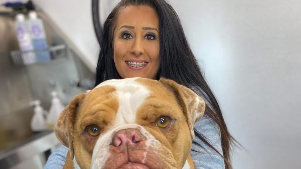 Why It’s Important to Choose a Fear Free Groomer