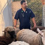 Got Goats? Big on Pigs? Cherish Your Chickens? Poway’s Sunshine Animal Hospital Treats Farm Animals On-Farm and In-Clinic