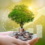 Lower Rates May Bring Focus Back to Real Estate for Many Investors