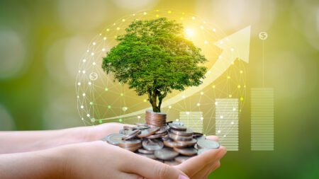 Tree with coins financial investment