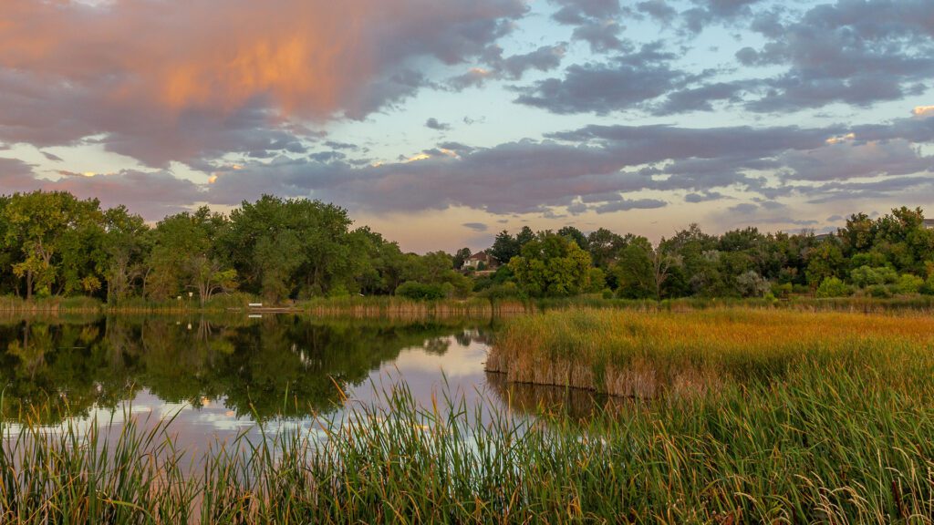 Wheat Ridge Real Estate Report: February 2026