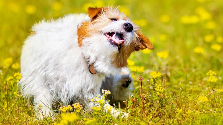 Spring has Sprung!