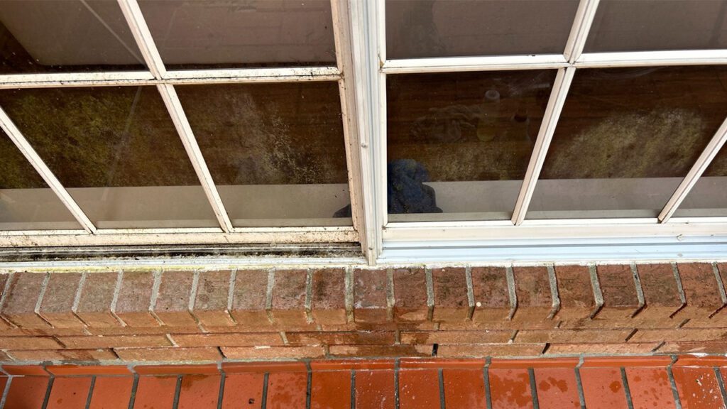 Clear the View: A Guide to Window Discoloration and Seal Failure
