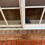 Clear the View: A Guide to Window Discoloration and Seal Failure