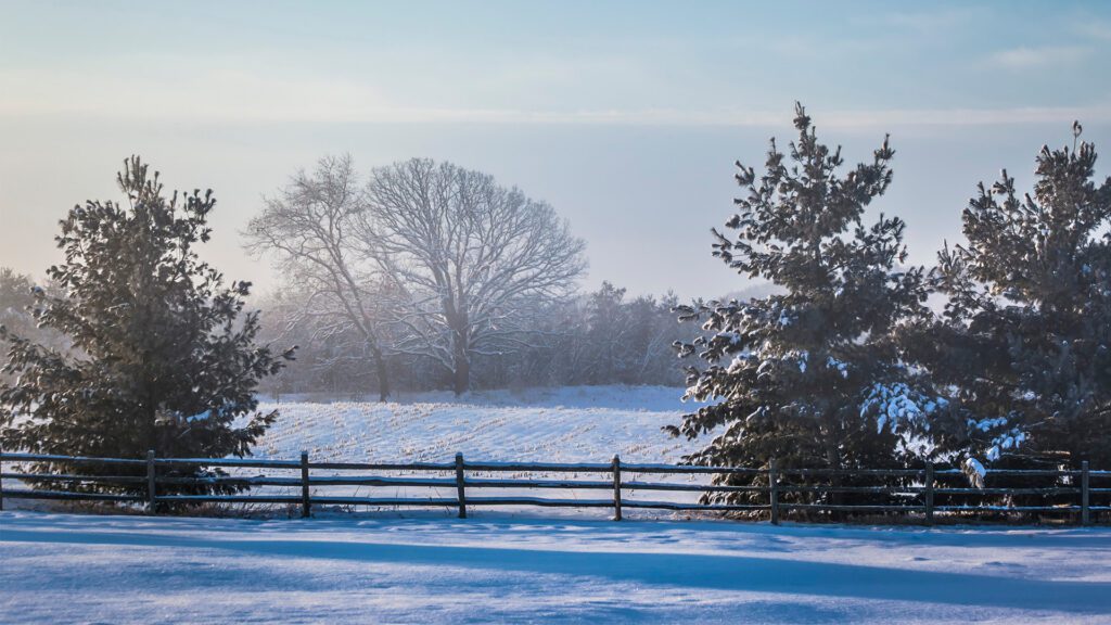 How to Keep Winter Where It Belongs: Outside