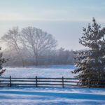 How to Keep Winter Where It Belongs: Outside