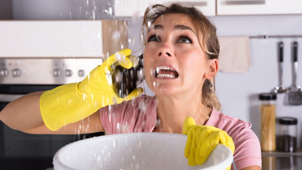 Healthy Drains, Happy Home: Essential Tips Every Homeowner Should Know