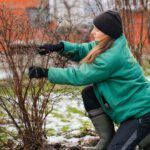 Winter Roots, Spring Rewards: Landscaping Through Oklahoma’s Cold Season
