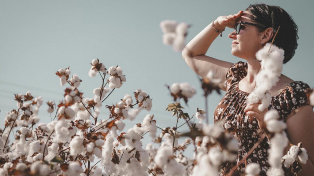 Cotton Through the Ages: How a Simple Fibre Shaped Textiles