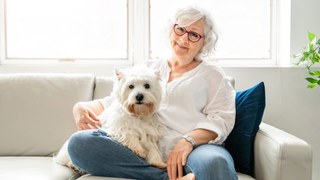 Why Indoor Air Quality Matters for Your Pet