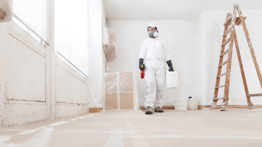 Why Florida’s Climate Makes Mold a Big Problem