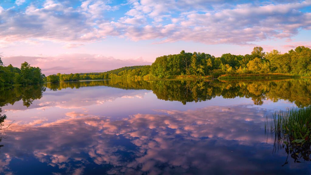 American Bio-Tech Wildlife Services: Beneath Our Feet, Part I