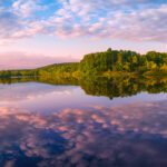 American Bio-Tech Wildlife Services: Beneath Our Feet, Part I