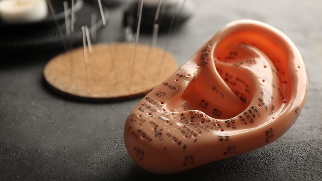 Tiny Seeds, Big Shifts