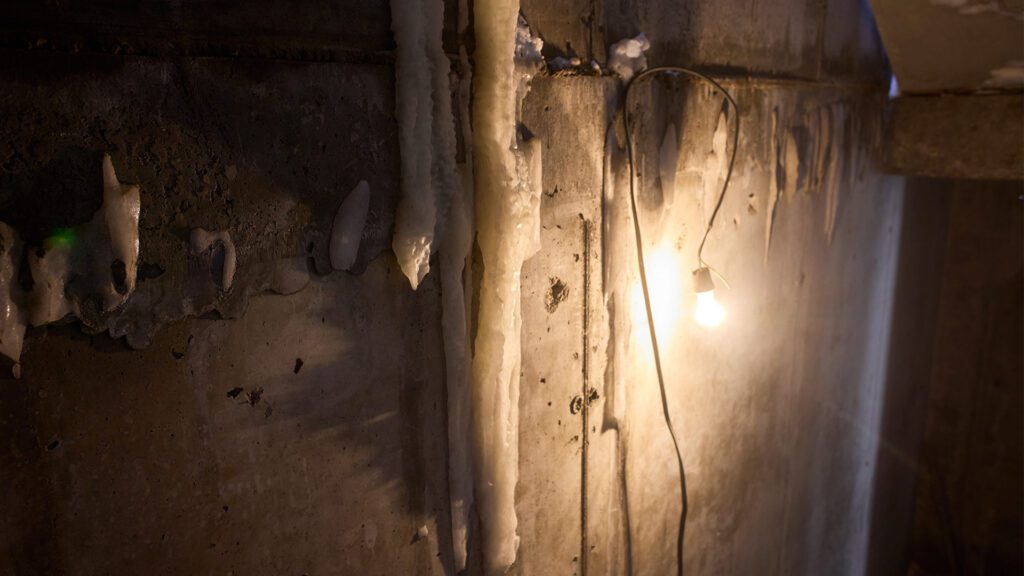 Inside the Spring Thaw: What Happens as Winter Melts Away