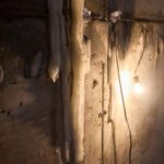 Inside the Spring Thaw: What Happens as Winter Melts Away