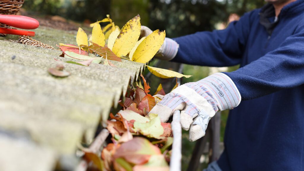 Why Do We Need to Clean our Gutters?