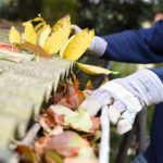 Why Do We Need to Clean our Gutters?