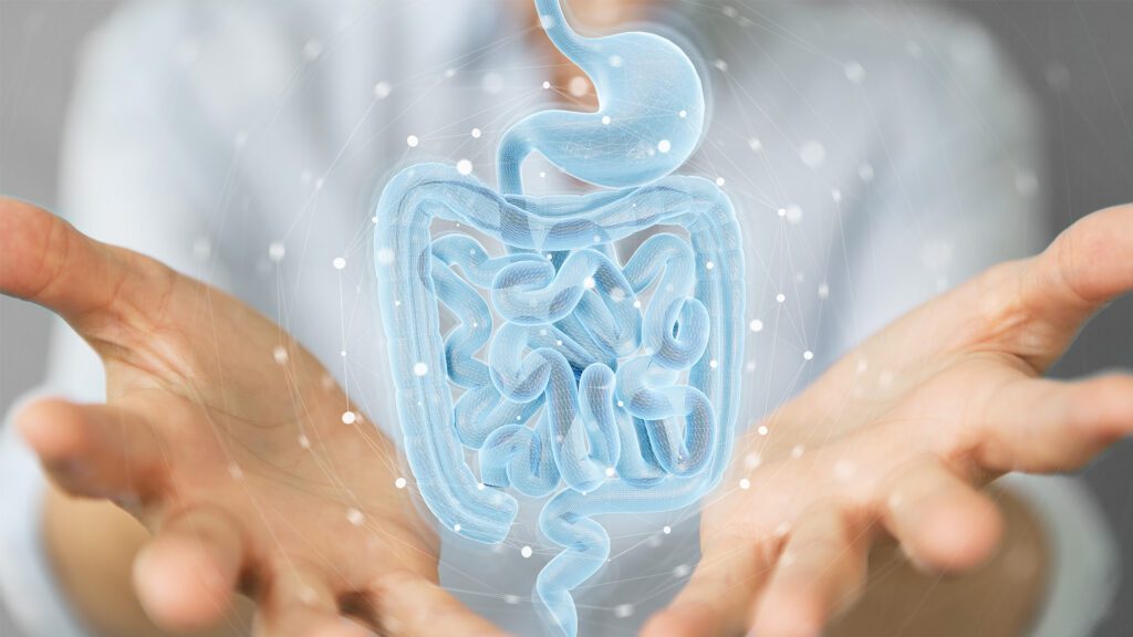 The Gut Microbiome, Weight Loss, and Obesity: How your microbes shape your Metabolism