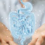 The Intricacies of Gut Microbiome: Its Profound Influence on Sleep, Inflammation, Longevity, Mental Equilibrium, and Hormonal Regulation