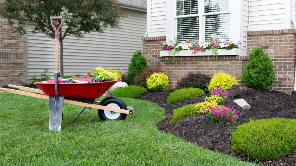 Preparing Your Yard for Spring: Take Action Now to Benefit Later