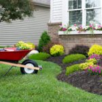 Preparing Your Yard for Spring: Take Action Now to Benefit Later