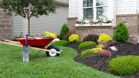 landscaping yard maintenance