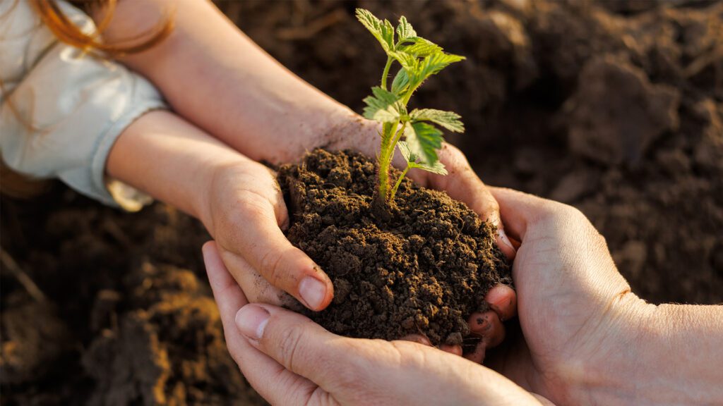 Deep Roots with 6K Soap