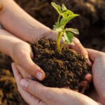 Deep Roots with 6K Soap