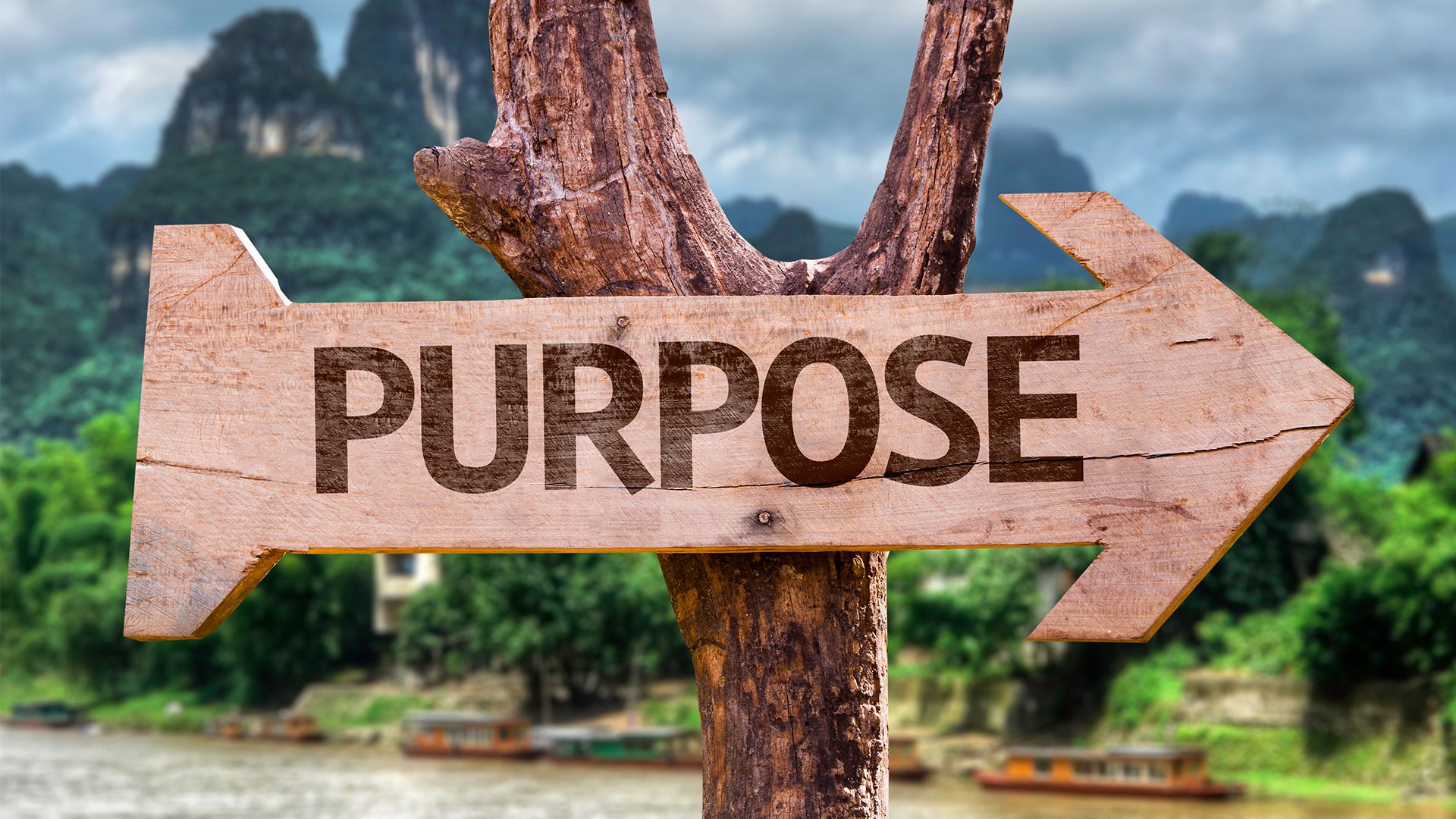 Purpose. Sign Simple Living With Purpose