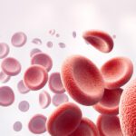 Do Mosquitoes Like Certain Blood Types?