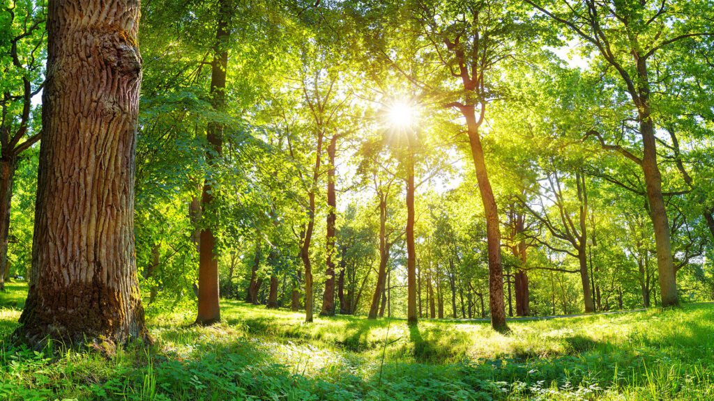 The March Survival Guide for Metro Detroit’s Outdoor Community