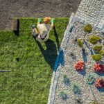 Why Turf Is the Perfect Upgrade for Dog-Loving Families