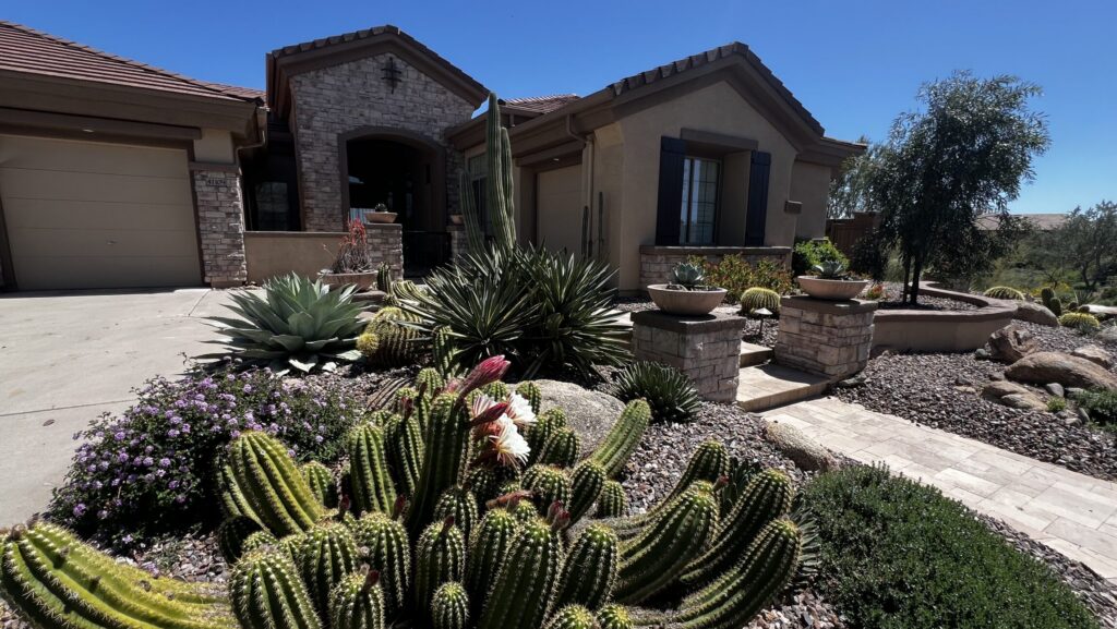 Arizona Outdoor Design Group: Where Beauty Meets Sustainability