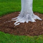 Spring Mulch with Architerra Inc.