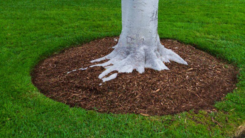 Spring Mulch with Architerra Inc.