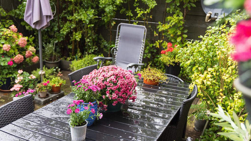 Healthy Lawns Start Below the Surface