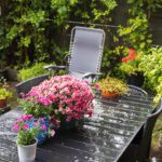 Healthy Lawns Start Below the Surface