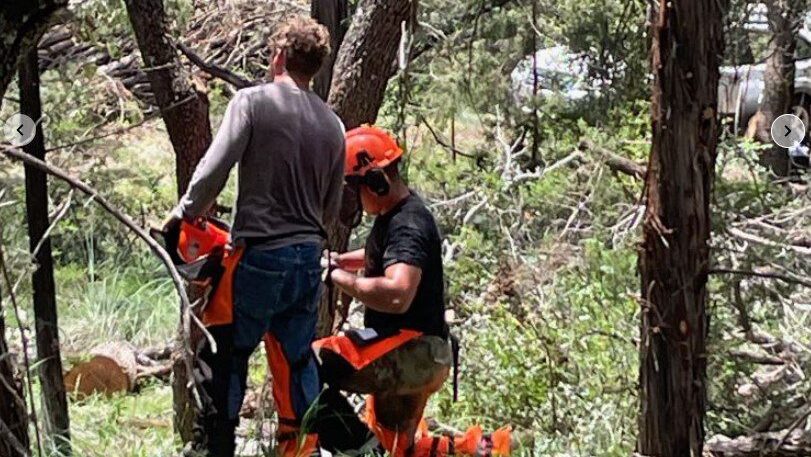Why Hiring an ISA Certified Arborist Matters for Your Trees