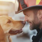 Supporting Those Who Serve: Reliable Pet Care for First Responders and Medical Professionals
