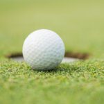 Heron Creek Summer Golf Membership: Your Season to Stay in the Game
