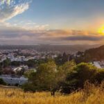 How Wildfire Risk and Insurance Affect a Home’s Marketability in Orinda