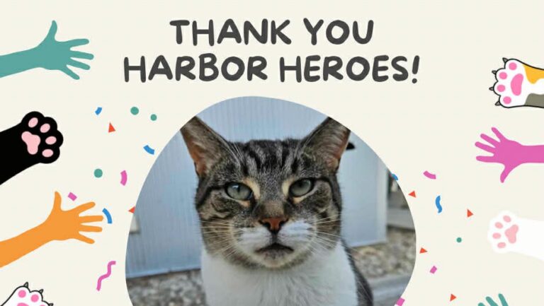 Harbor Heroes: The Monthly Donors Powering Harbor Humane’s Mission