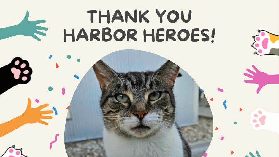 Harbor Heroes: The Monthly Donors Powering Harbor Humane’s Mission