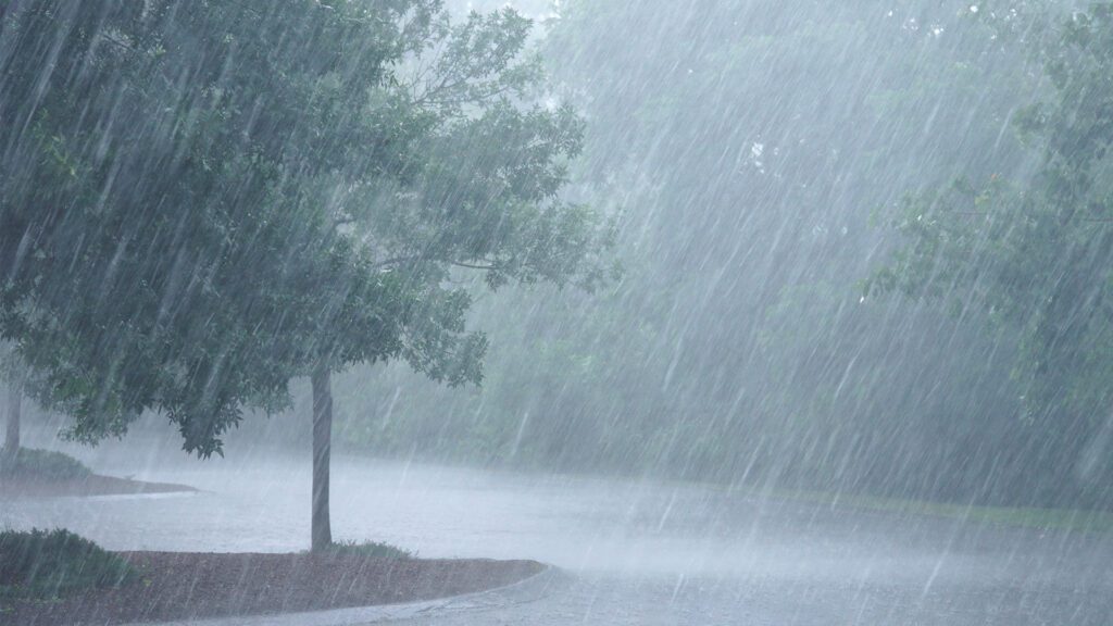 April in Fairwood: Shaking Off the Rain
