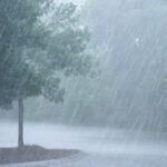 April in Fairwood: Shaking Off the Rain