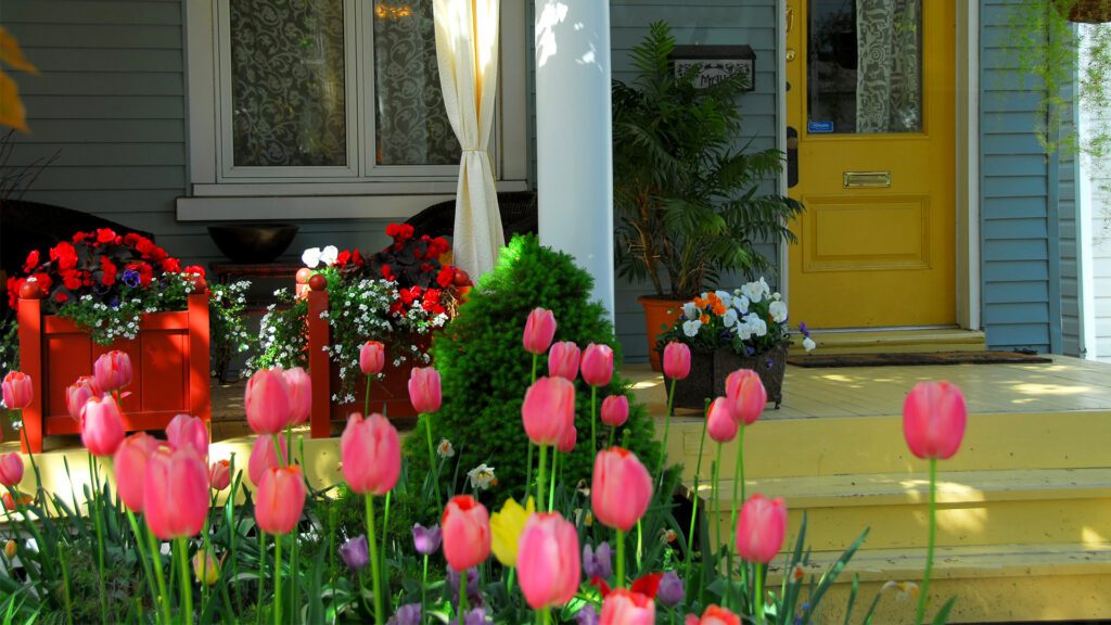 Great Spring Projects to Keep Your Home Healthy