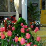 Great Spring Projects to Keep Your Home Healthy