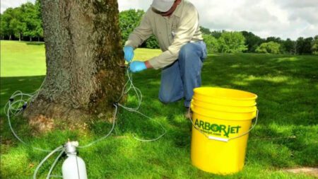 Injecting Tree With Arbor Jet System Robert's Tree Services Inc